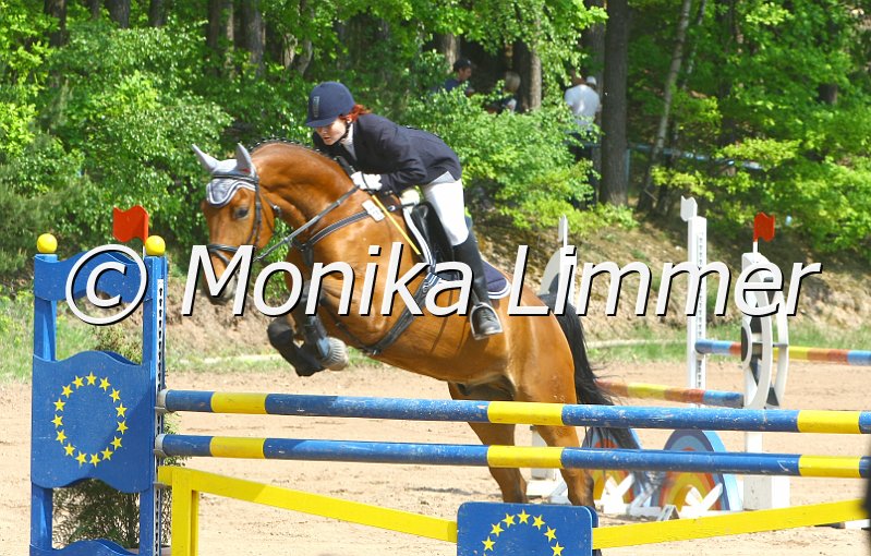 104M6788_e_Desperado_Stil L.JPG